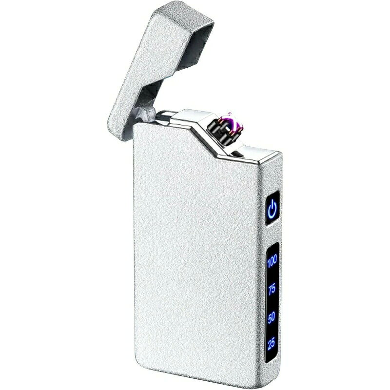 ライター USB Type C プラズマライター充電式USB 小型 防風 電池残量表示 おしゃれ 記念日 プレゼント