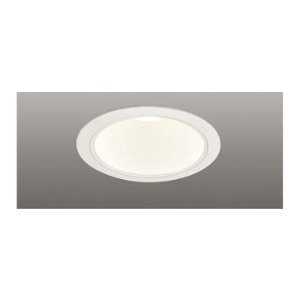 LEDD-60341WW (LEDD60341WW) ηDL򿧿125 饤ȴΤΤ ڼʡ ʸ۾