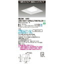 東芝 LEER-76031 + LEEM-G-70901W-LD9 LEDベースライト (LEER76031LEEMG70901WLD9) スクエア器具　受注生産品