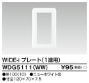 Panasonic パナソニック 配線器具 防滴プレート 2コ用 取付枠付 WN7902