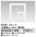 東芝 WDG5321(WW) (WDG5321WW) プレート2連用L+M+1WW 大箱 (100個入りセット)