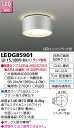 LED 照明器具LEDエクステリア LEDG85901 LEDアウトドアシーリング ランプ別売 LED屋外小形シーリング