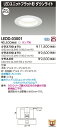 LEDダウンライト LEDD-03001 (LEDD03001)