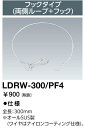 ポイント2倍 岩崎電気 LEDライトバルブ用落下防止ワイヤ LDRW-300/PF4 (LDRW300PF4)