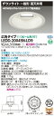 LEDD-20045N-LD9 (LEDD20045NLD9) 一体形DL高天井用Ф400