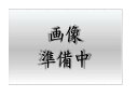 岩崎電気 産業用特殊照明機器 EXSCE102410A/37/60A30 (EXSCE102410A3760A30) 耐圧防爆形インターロックコンセント・100A 漏電遮断器付 【受注生産品】