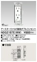 東芝 NDG2187E(WW) (NDG2187EWW) ET付接地ダブルコンセント 大箱 (100個入りセット)