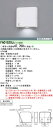パナソニック FA01520J LE1 壁直付型 LED 客席誘導灯 非常点灯20分間 自己点検機能付 (FA01520JLE1)