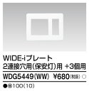東芝 WDG5449(WW) (WDG5449WW) プレート2連接穴+3個用WW 大箱 (100個入りセット)