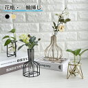 アイアン ワイヤー フレーム フラワーベース スチーム 花瓶 一輪挿し 卓上花瓶 フレーム花瓶 多肉植物 北欧 韓国 インテリア 雑貨 ドライフラワー シンプル...