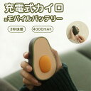 【P2倍&最大2000円OFF】可愛いアボカド 電気カイロ 充電式カイロ モバイルバッテリー機能付 4000mAh 大容量 USB充電式 携帯カイロ 繰り返し使...