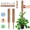 2本セット 3本セット モンステラ 支柱 ココスティック 観葉植物 支柱 園芸支柱 植物 ガーデニング用 花ささえ ココナッツ支柱 植物サポート つる性植物 ト...