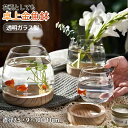 金魚鉢 おしゃれ 金魚 メダカ 水槽 室内 容器 鉢 ミニ水槽 ガラス金魚鉢 小さな水槽 金魚水槽 小さな丸い透明なガラス花瓶 木製ベース付きデスクトップ水槽 ...