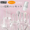 【母の日特典50円OFF】日本限定透明高級感 開店限定価格 送料無料 【メイクアドバイザー監修】メイクブラシ 11本セット ケース メイクブラシセット 化粧ポー...