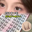 【母の日特典50円OFF】付けまつ毛ブック 部分用つけまつげ 大容量 2点セット つけまつげ 付けまつ毛 アイラッシュ ポイントアイラッシュ まつげエクステ 束...
