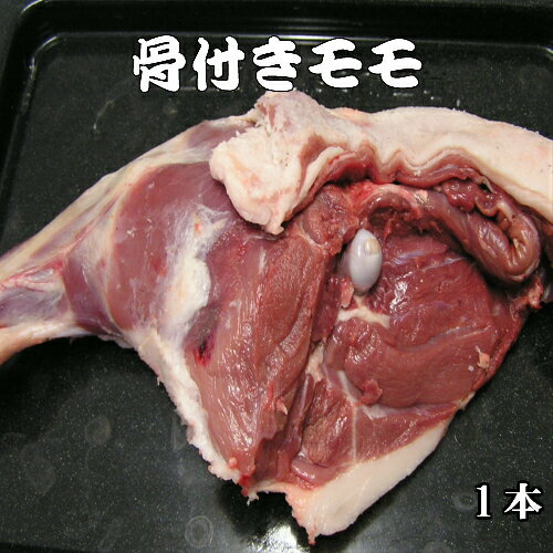 《島根県産》国産 天然ジビエ イノシシ肉 骨付き もも 1.2kg【島根県産 島根産 国産 いのしし肉 イノシシ肉 猪肉 しし肉 シシ肉 ボタン肉 もも肉 骨付き肉 いのしし イノシシ 猪 ボタン ジビエ…