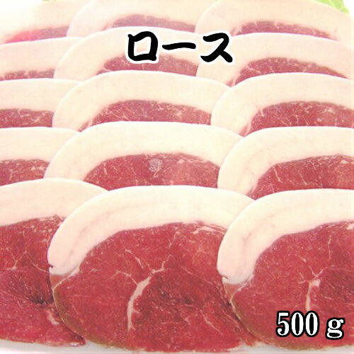 《島根県産》国産 天然ジビエ イノシシ肉 ロース 500g 250g 2パック 【 島根県産 島根産 国産 いのしし肉 イノシシ肉 猪肉 しし肉 シシ肉 ボタン肉 いのしし イノシシ 猪 ボタン ジビエ 肉 ロ…