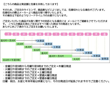 ロゴナ　デイリーはみがき 〔ペパーミント〕 75ml