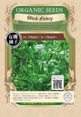 Rakuten - 有機種ハーブセロリ スープセルリーの種0.8g