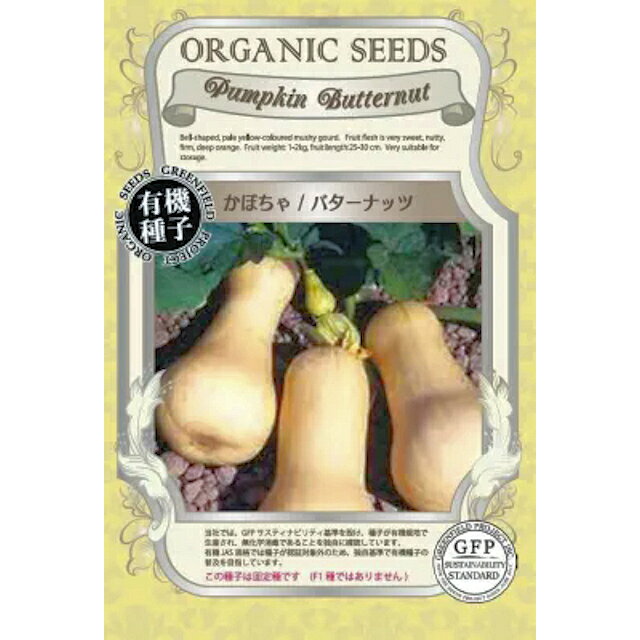 Rakuten - 有機種子　バターナッツかぼちゃの種20粒
