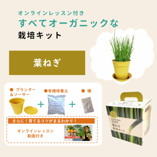 Rakuten - すべてオーガニックな栽培キット葉ねぎ オンラインレッスン付き！