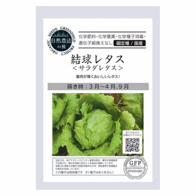 自然栽培種子結球レタス サラダレタスの種約30粒