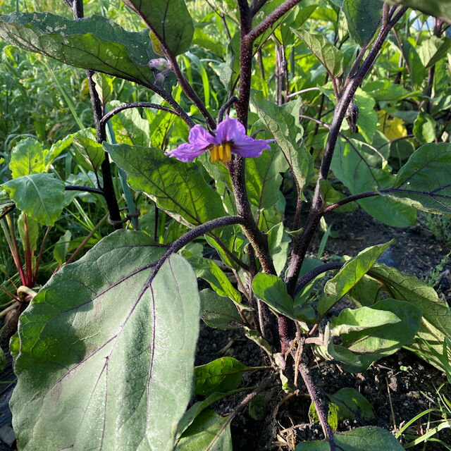 ������ˡ��ҿ��ۿ�ʥ��μ�10γ