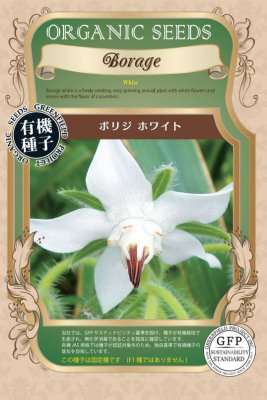 有機種子ボリジ ホワイト　エディブルフラワーの種約15粒