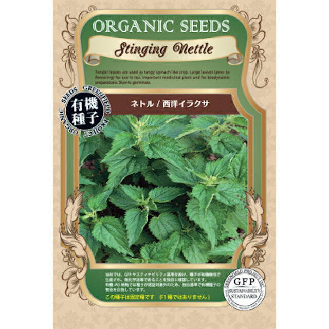 有機種子ネトル 西洋イラクサの種0.2g