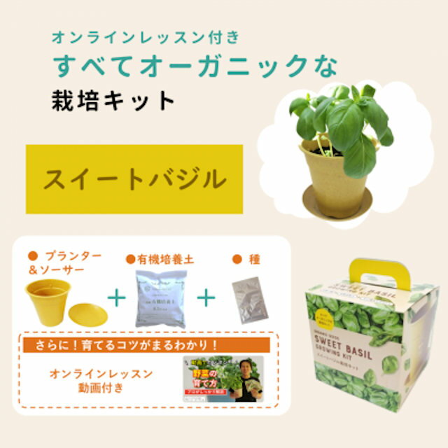 すべてオーガニックな栽培キットバジルオンラインレッスン付き！
