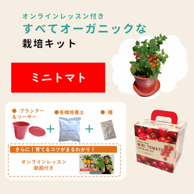 Rakuten - すべてオーガニックな栽培キット ミニトマト オンラインレッスン付き！