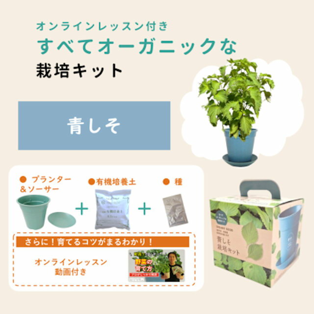 すべてオーガニックな栽培キット青しそオンラインレッスン付き！