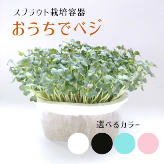 おうちでベジ～スプラウト専用栽培容器4色(種は別売り) / グリーンフィールドプロジェクト