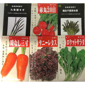 在来種/固定種のタネ「いつでも蒔けるプランター野菜6種セット」※初心者向け