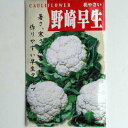 在来種/固定種/野菜のタネ「野崎早生カリフラワー1ml(約270粒）」畑懐〔はふう〕の種【メール便可】