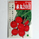 在来種/固定種/野菜のタネ「赤丸20日大根ラディッシュ5ml(約350粒）」畑懐〔はふう〕の種【メール便可】