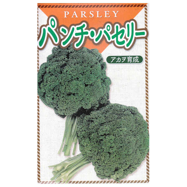 パンチパセリ(固定種)
