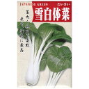 【国内採種/固定種】雪白体菜の種5ml(約1400粒) 畑懐〔はふう〕の種【メール便可】