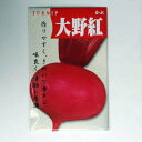 【国内採種/固定種】大野紅カブの種5ml(約1000粒) 畑懐〔はふう〕の種【メール便可】