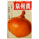 【固定種】泉州黄玉葱(中生)の種8ml(約1200粒) 畑懐〔はふう〕の種【メール便可】