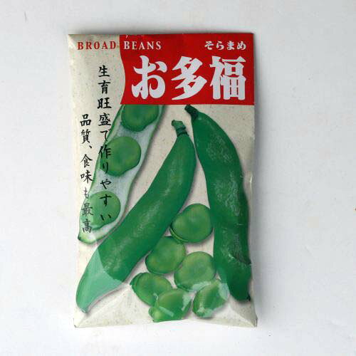 楽天市場】そら豆 大粒 種の通販