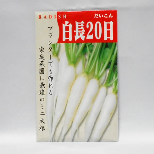 在来種/固定種/野菜のタネ 白長20日大根 ミニ大根 5ml 約300粒 畑懐〔はふう〕の種【メール便可】