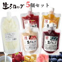 天然フルーツのかき氷シロップ 氷屋さんちの削氷 〔けずりひ〕 おすすめ5個セット 【冷凍】