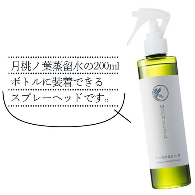 �ࡼ��ԡ�������α��200mL�ܥȥ����ѥ��ץ졼�إå� ñ��