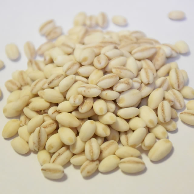 ポラーノの五穀 国産もち麦 〔徳用〕 1kg