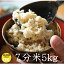【21年度米】長野県産 れんげ米 7分搗き米・5kg