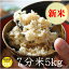 【新米】長野県産 れんげ米 7分搗き米・5kg