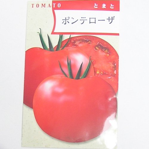 在来種/固定種/野菜のタネ「ポンテローザトマト1ml約80粒」畑懐〔はふう〕の種【メール便可】