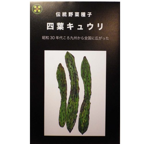 在来種/固定種/野菜のタネ「四葉〔スーヨー〕きゅうり1.5ml約25粒」畑懐〔はふう〕の種【メール便可】のサムネイル