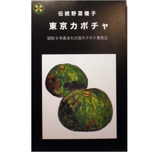 在来種/固定種/野菜のタネ 東京かぼちゃ15ml約20粒 畑懐〔はふう〕の種【メール便可】